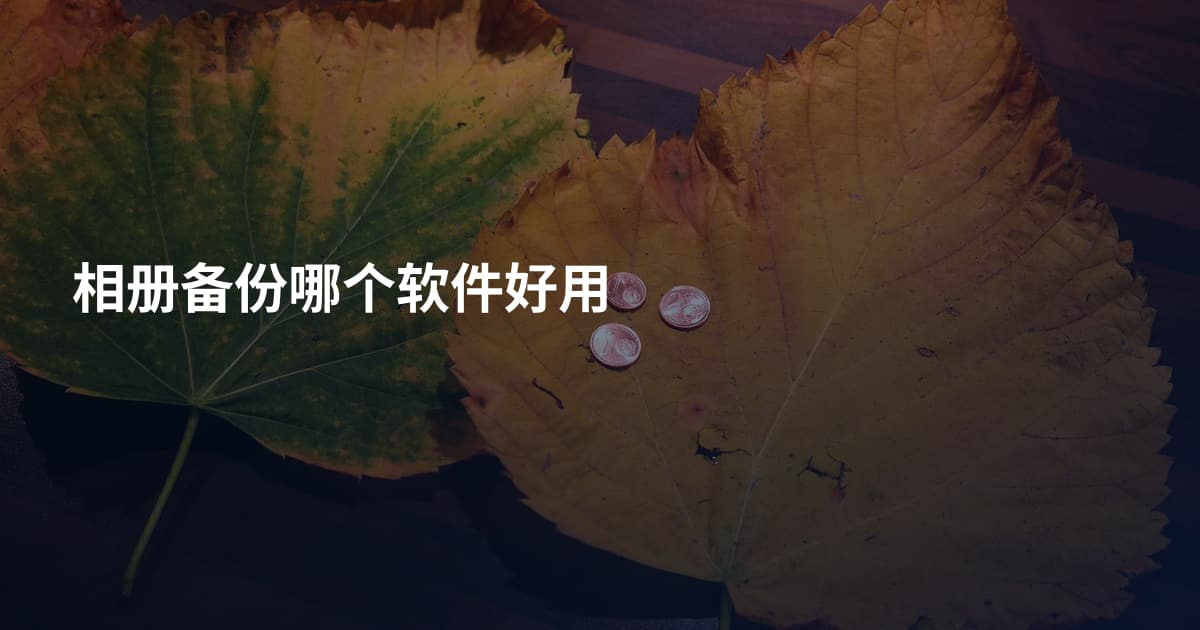 相册备份哪个软件好用