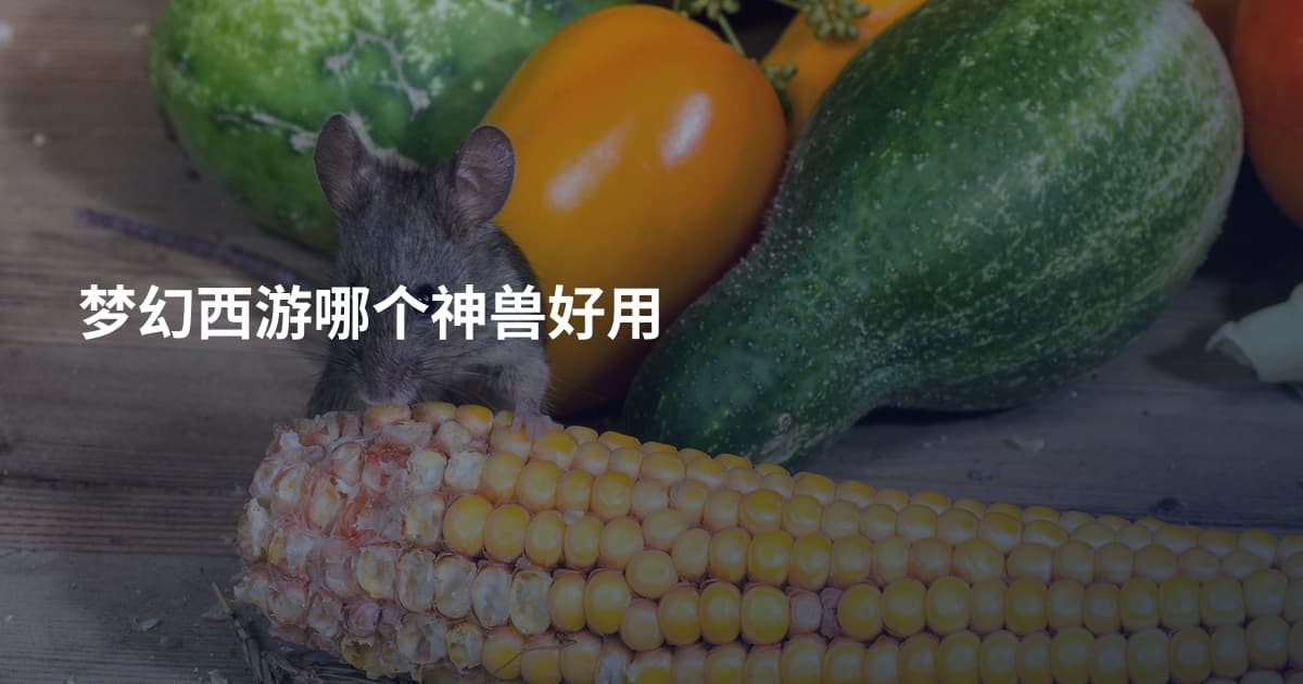 梦幻西游哪个神兽好用