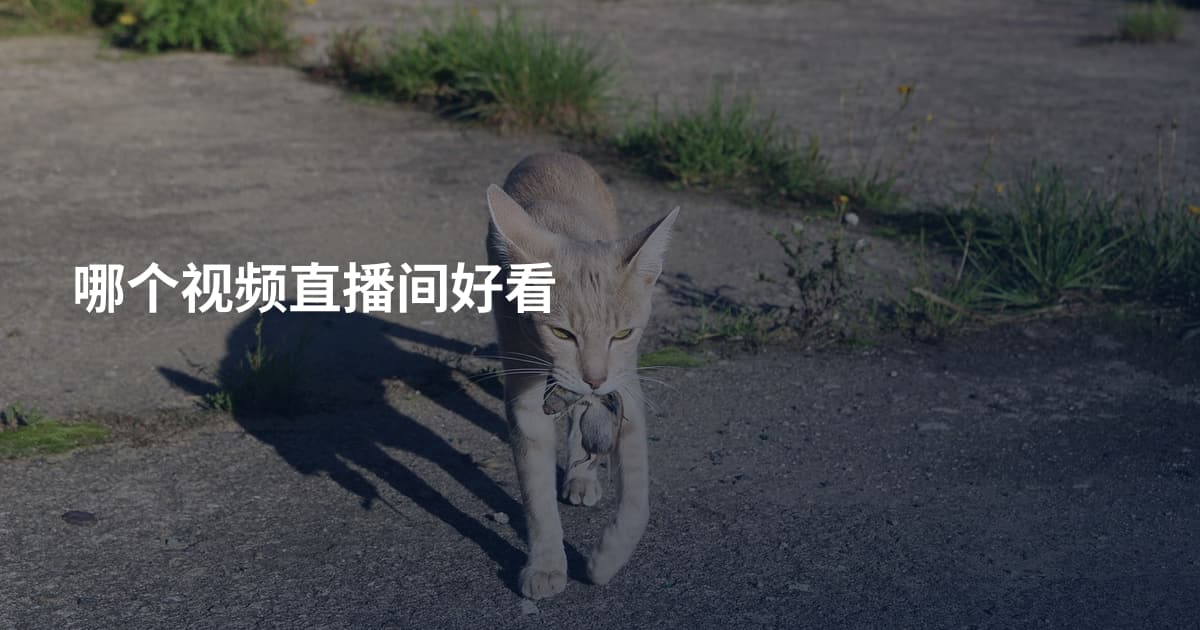 哪个视频直播间好看