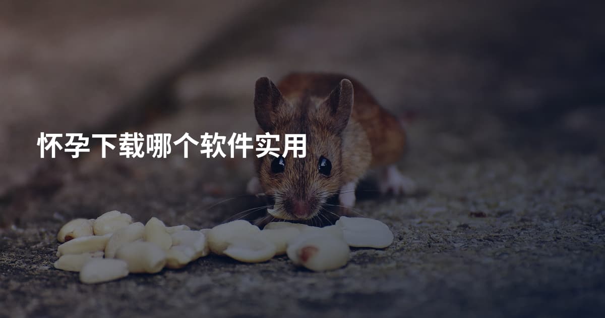 怀孕下载哪个软件实用