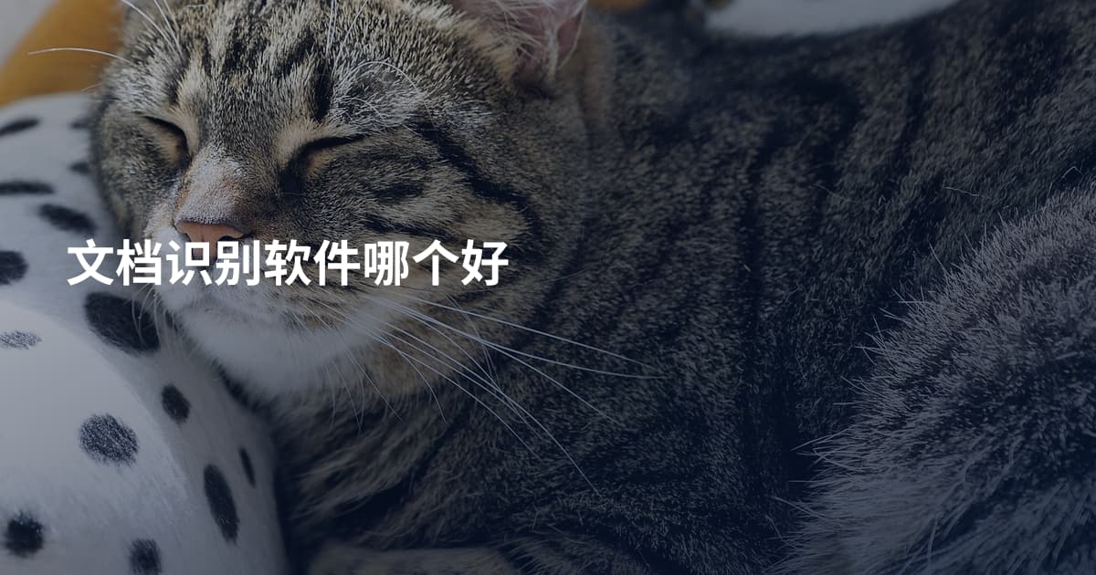 文档识别软件哪个好