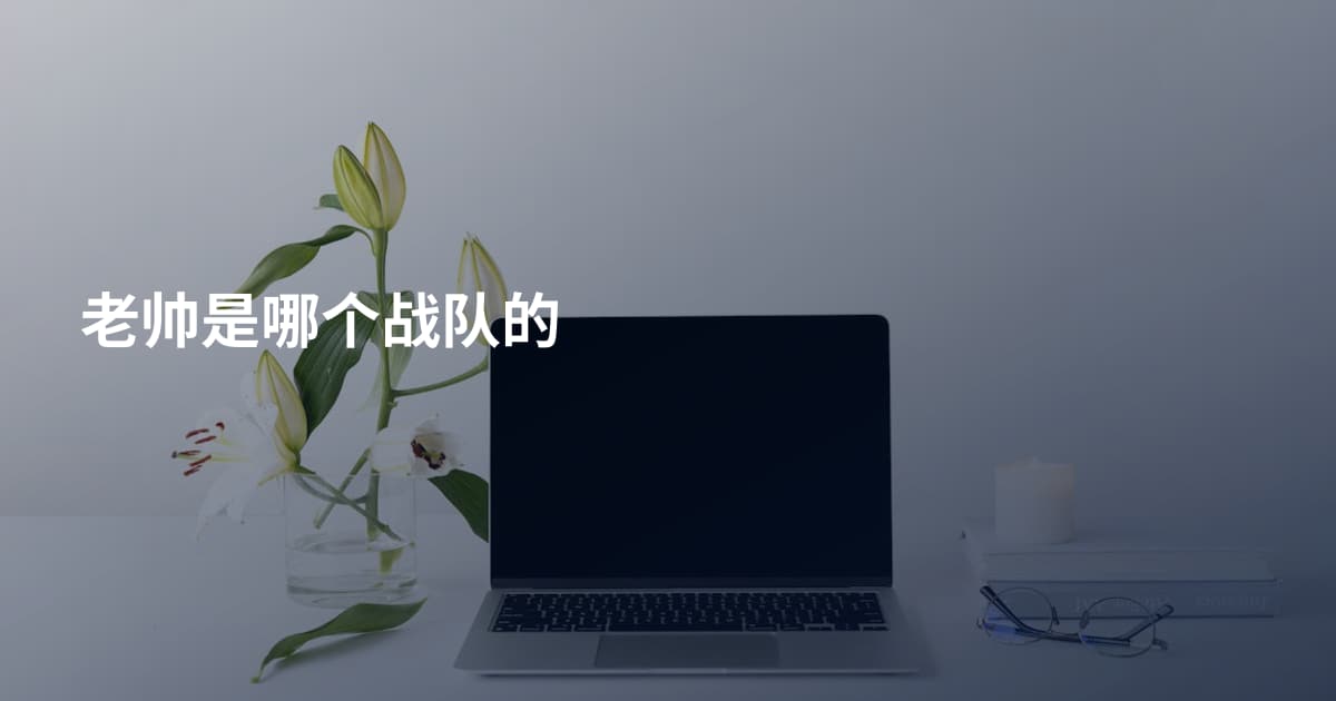 老帅是哪个战队的