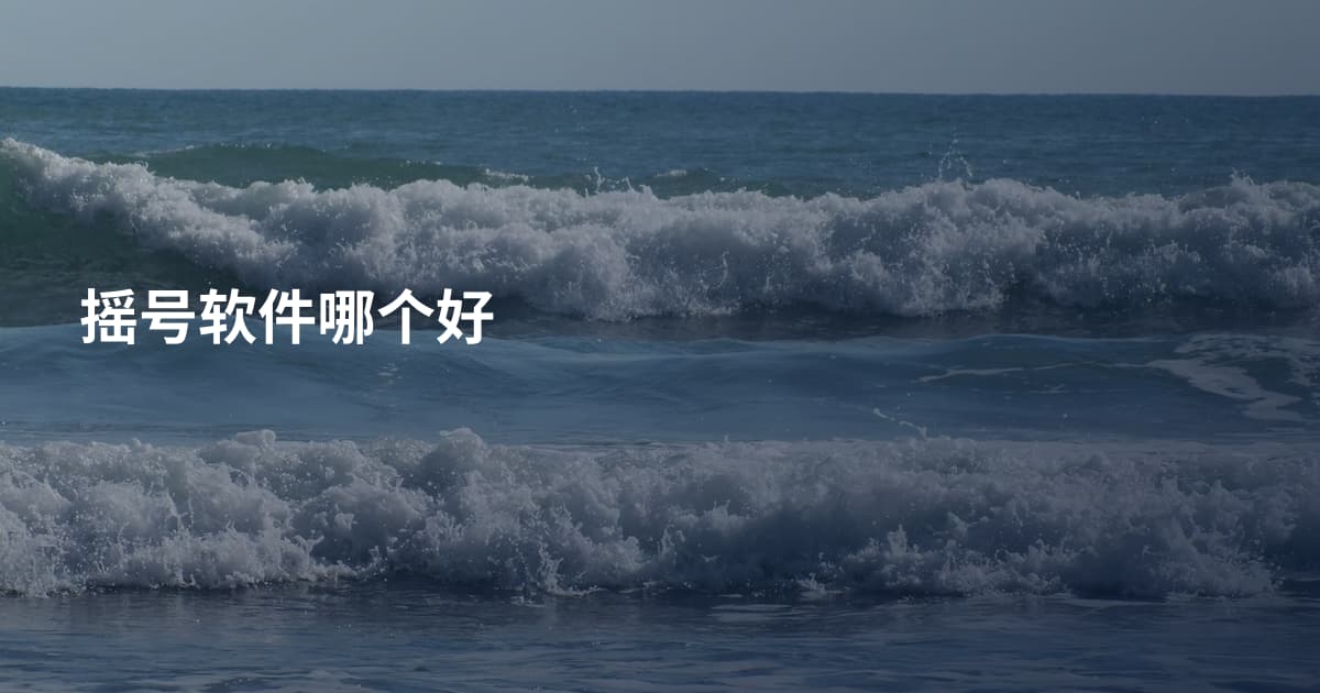 摇号软件哪个好