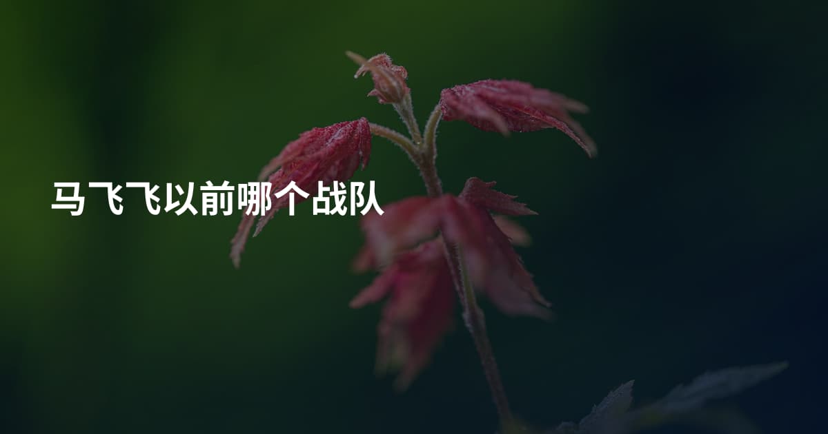马飞飞以前哪个战队