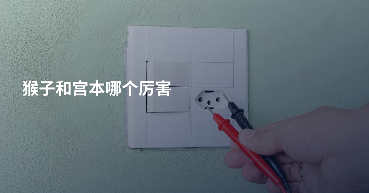 猴子和宫本哪个厉害