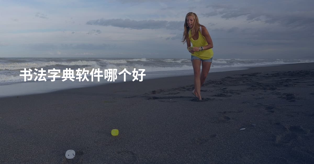 书法字典软件哪个好