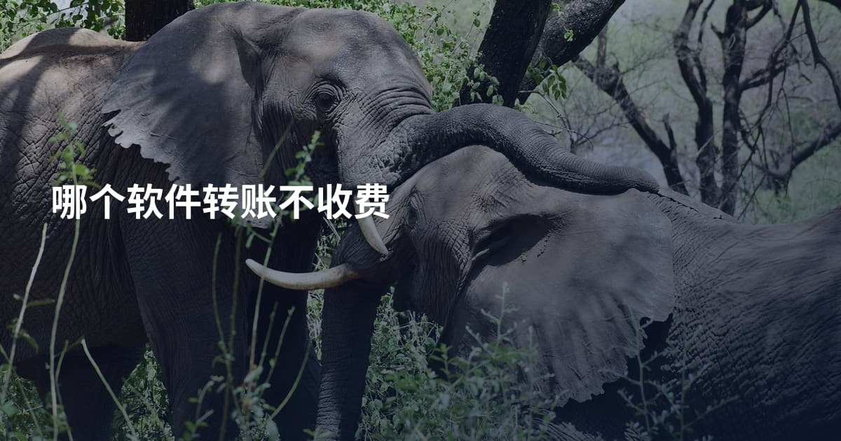 哪个软件转账不收费