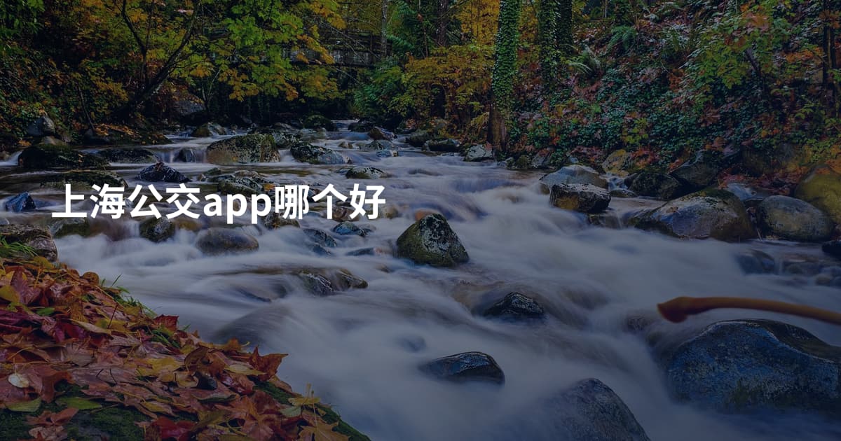 上海公交app哪个好