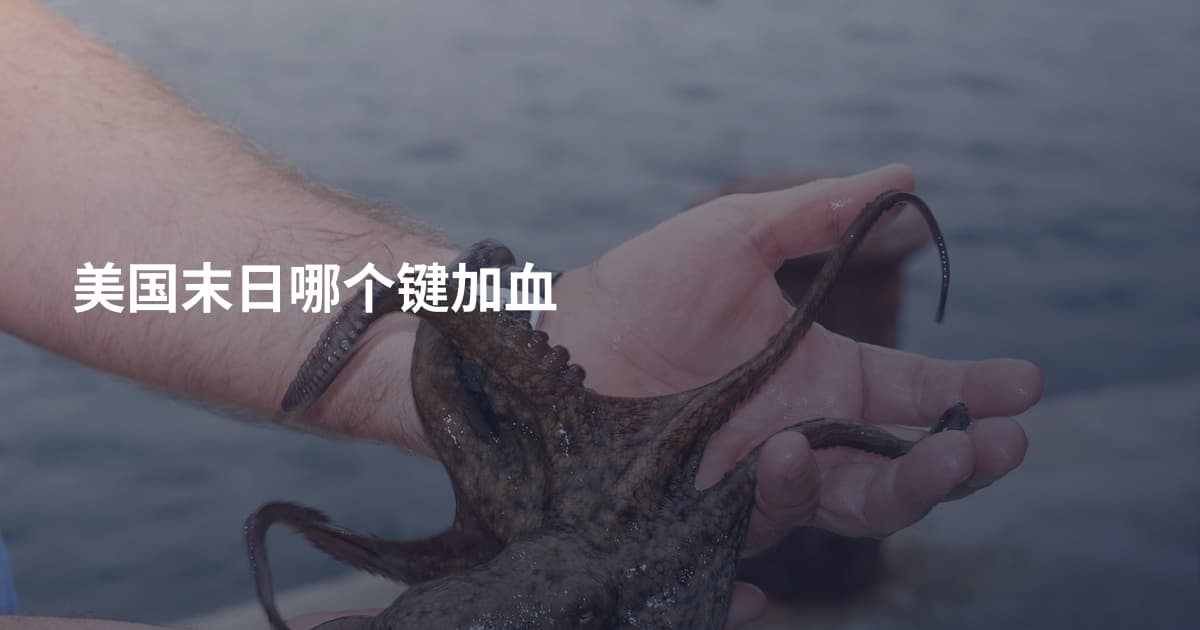 美国末日哪个键加血
