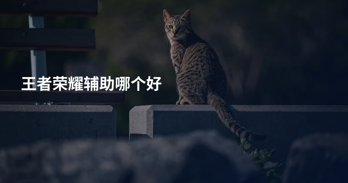 王者荣耀辅助哪个好