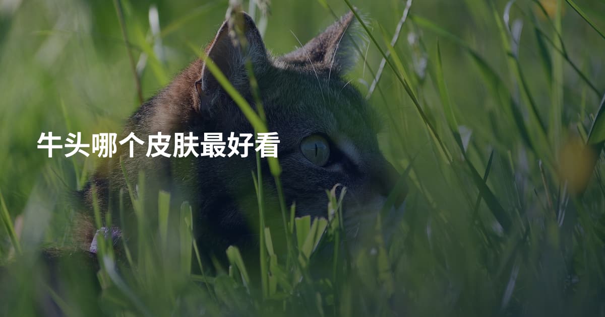 牛头哪个皮肤最好看