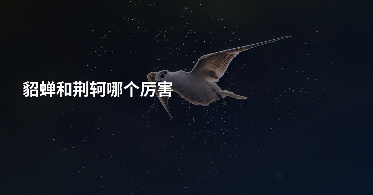 貂蝉和荆轲哪个厉害