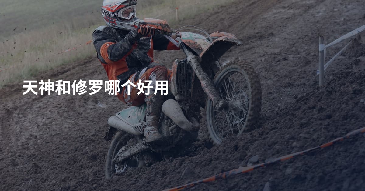 天神和修罗哪个好用