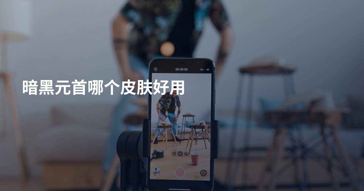 暗黑元首哪个皮肤好用