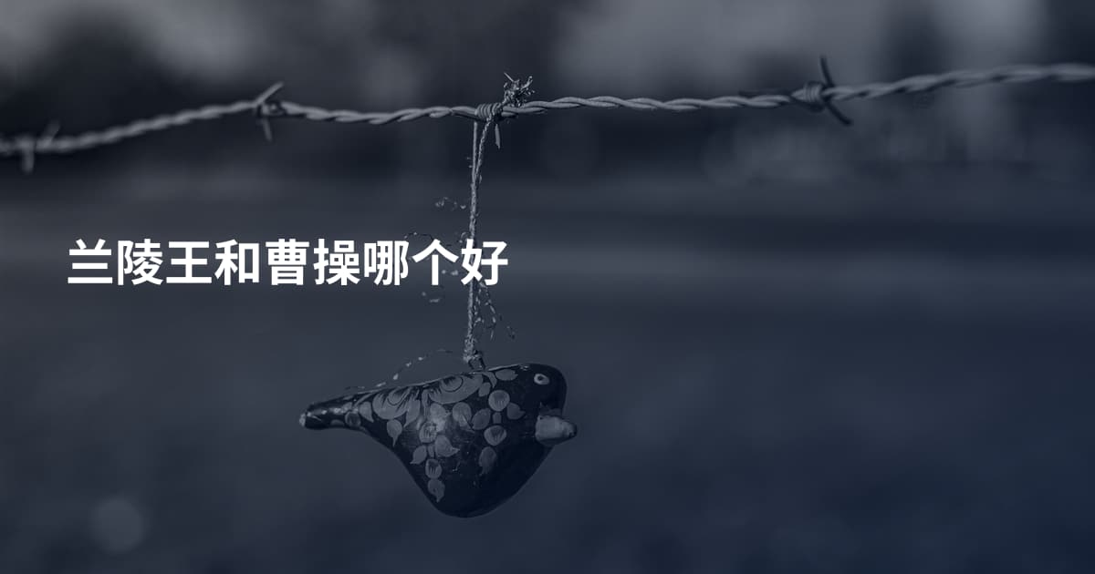 兰陵王和曹操哪个好
