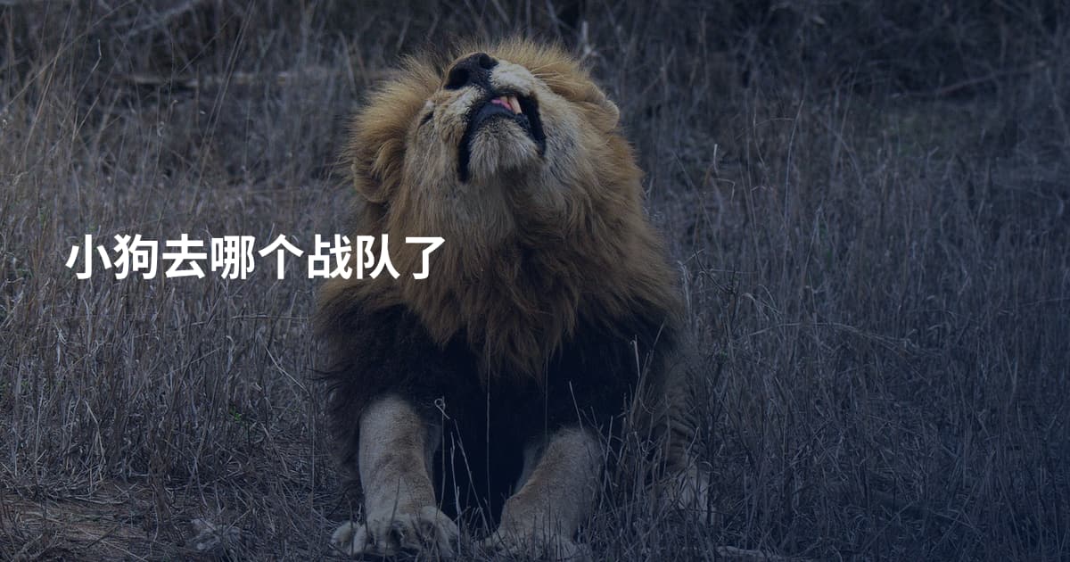 小狗去哪个战队了