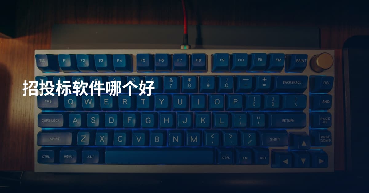 招投标软件哪个好