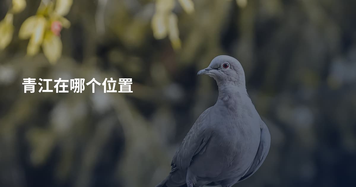 青江在哪个位置