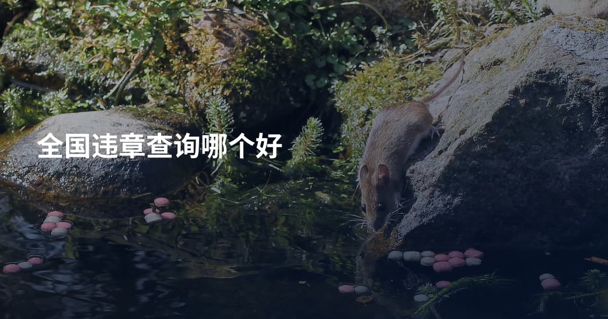 全国违章查询哪个好