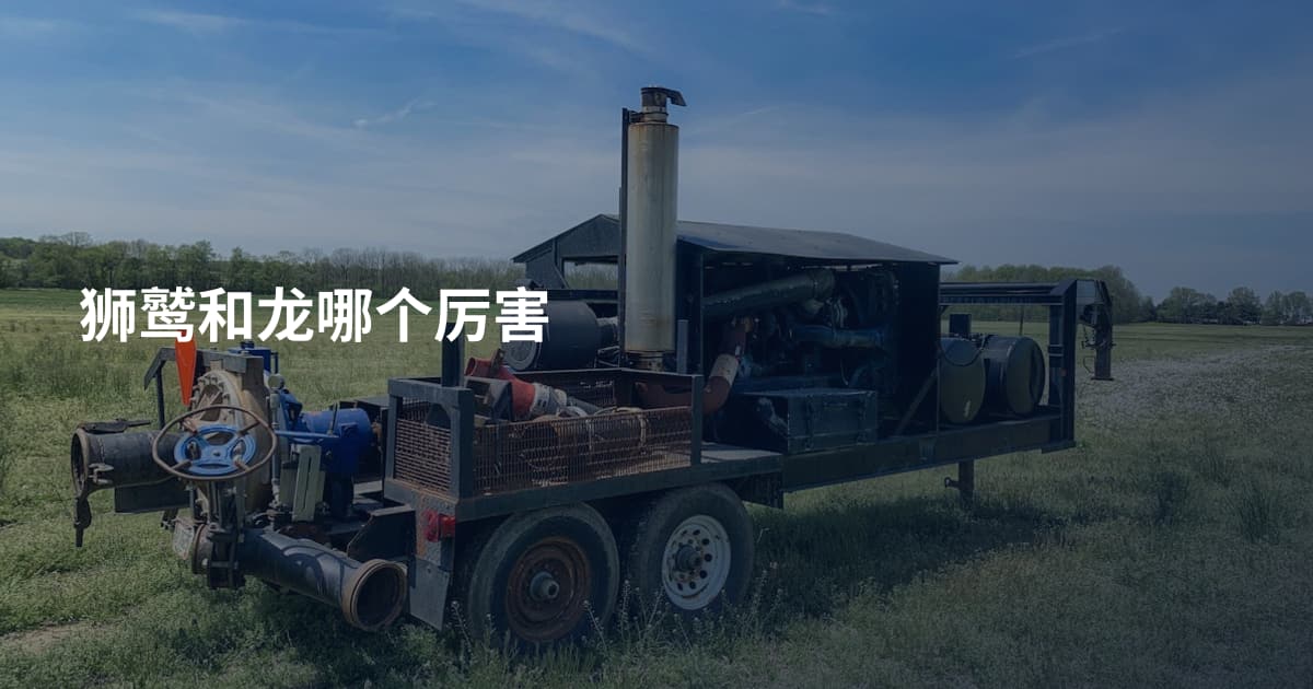 狮鹫和龙哪个厉害
