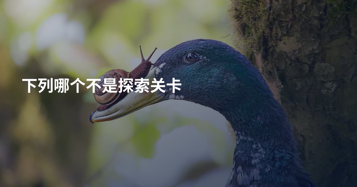 下列哪个不是探索关卡