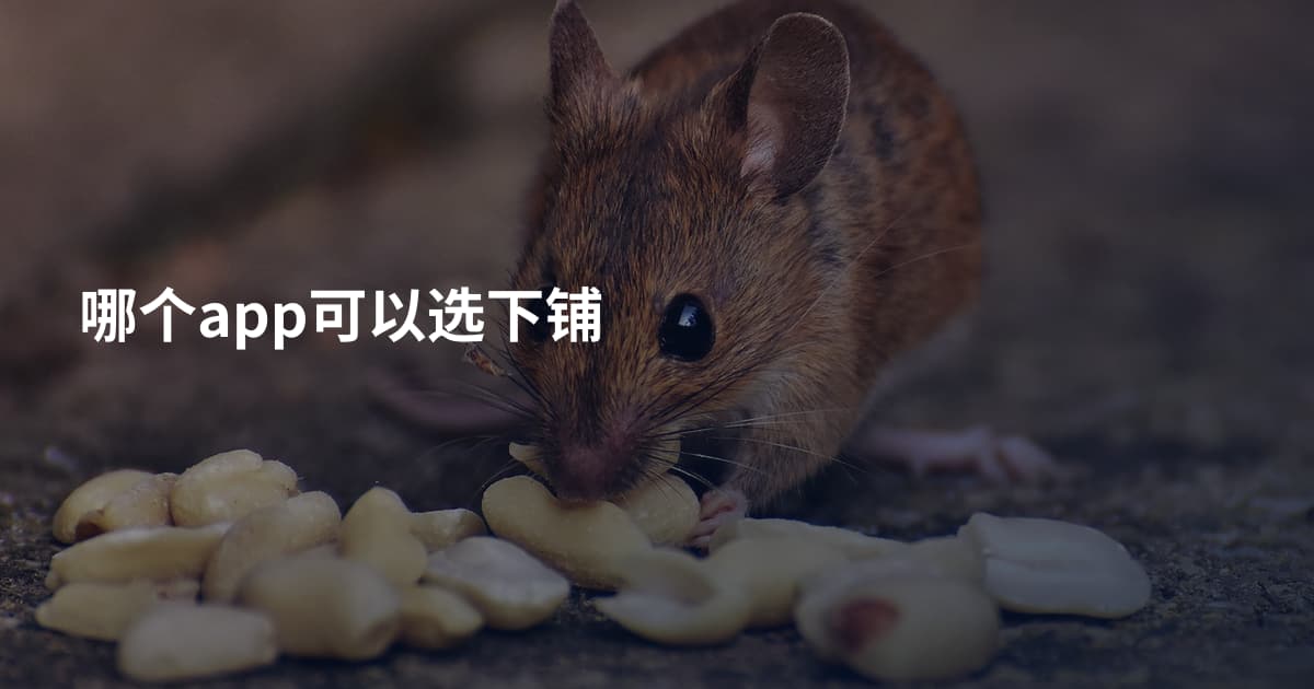 哪个app可以选下铺
