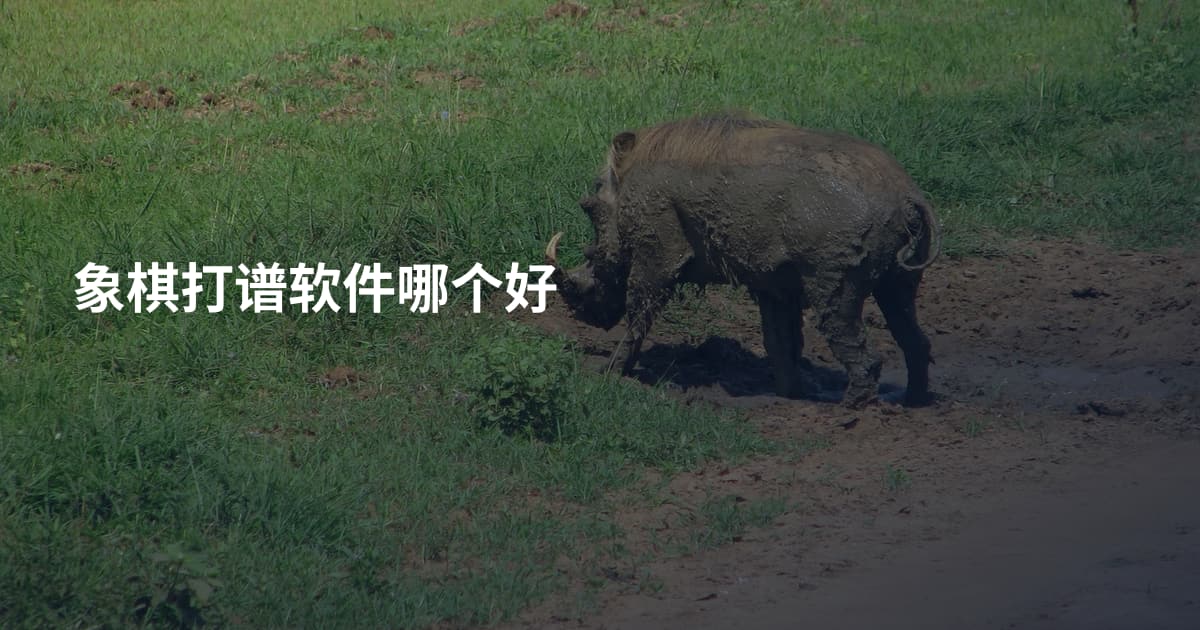 象棋打谱软件哪个好