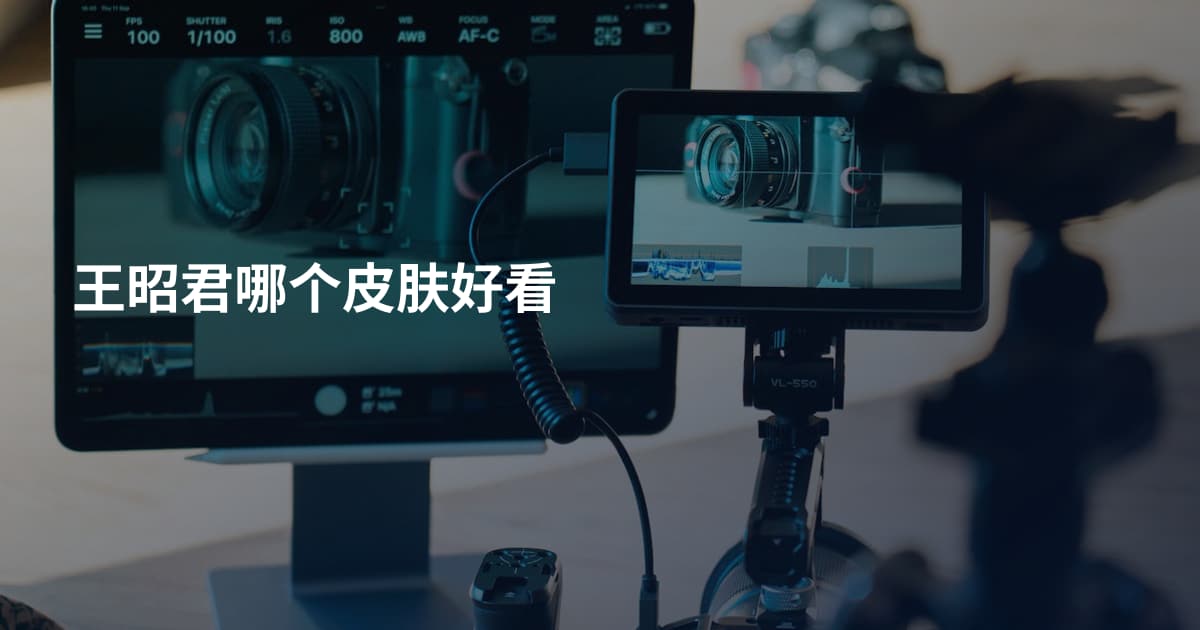 王昭君哪个皮肤好看