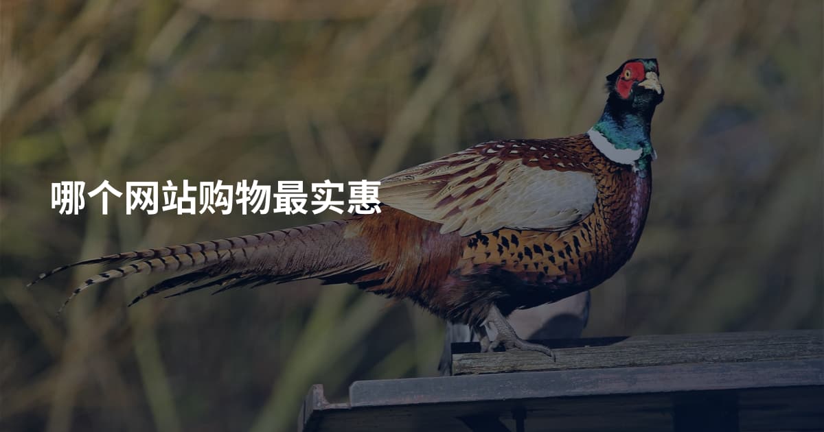 哪个网站购物最实惠