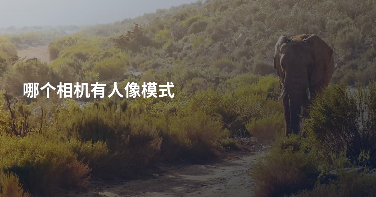 哪个相机有人像模式