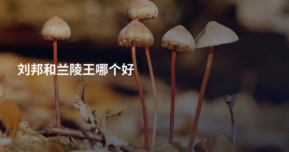 刘邦和兰陵王哪个好
