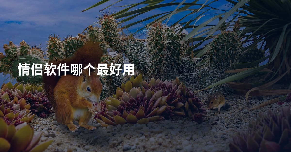 情侣软件哪个最好用