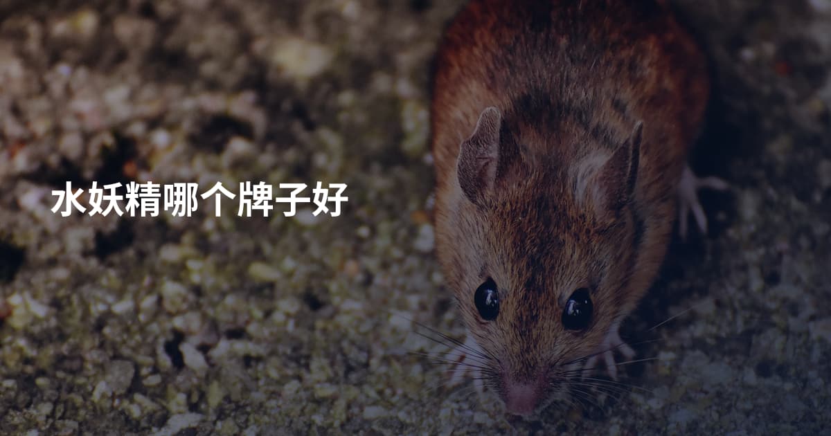 水妖精哪个牌子好