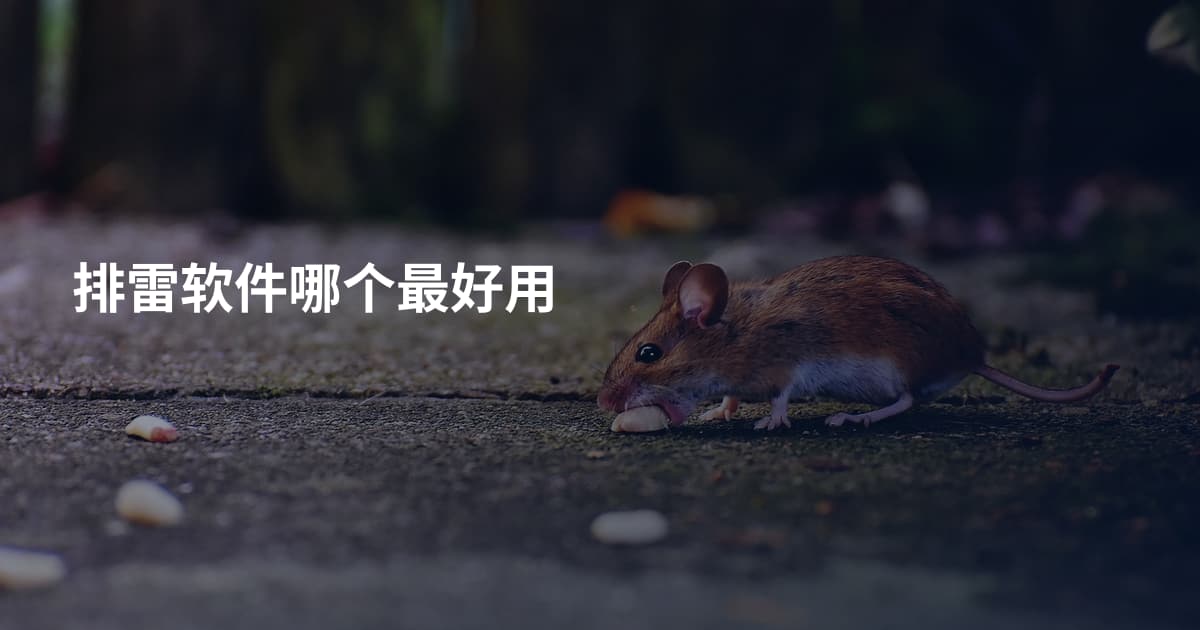 排雷软件哪个最好用
