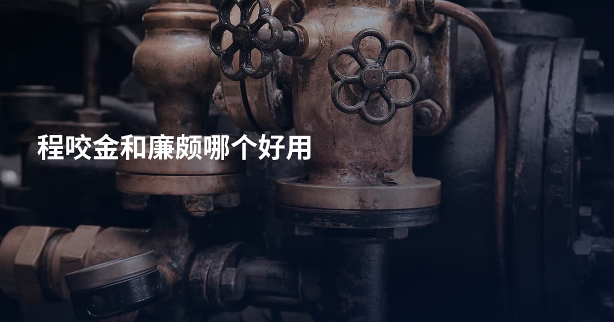 程咬金和廉颇哪个好用
