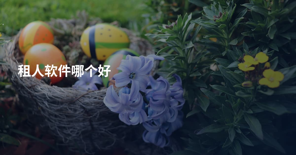 租人软件哪个好