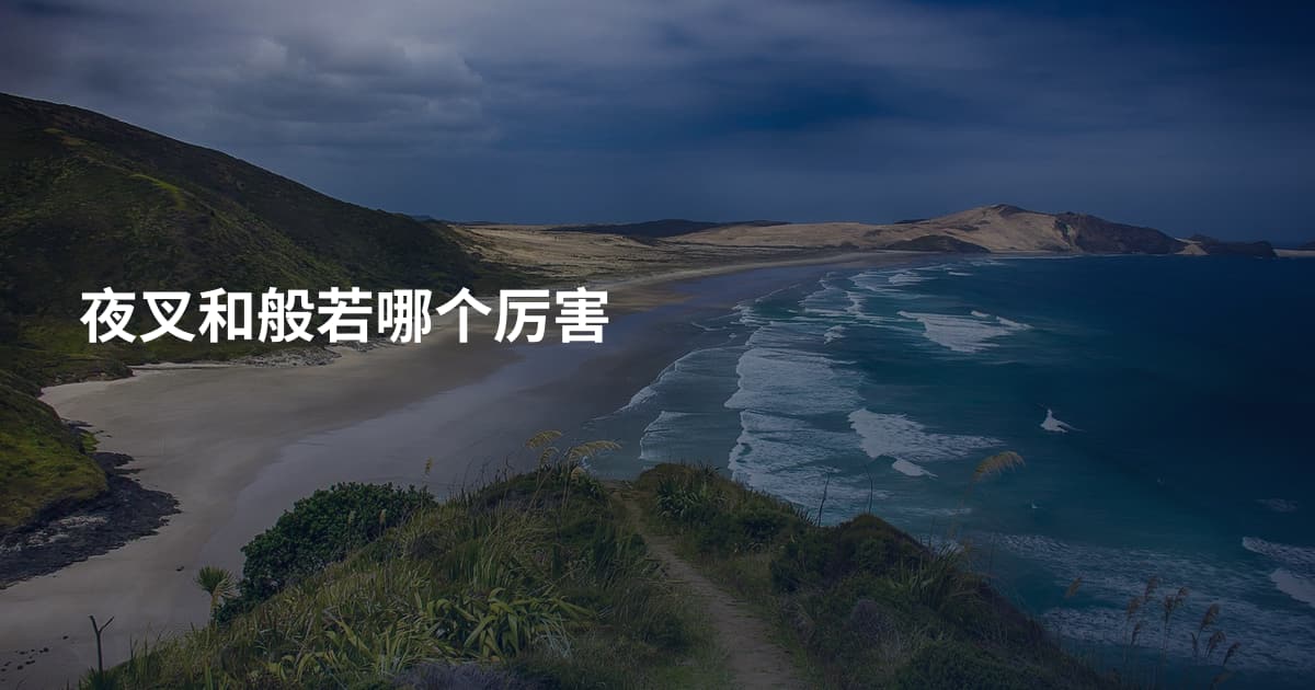 夜叉和般若哪个厉害