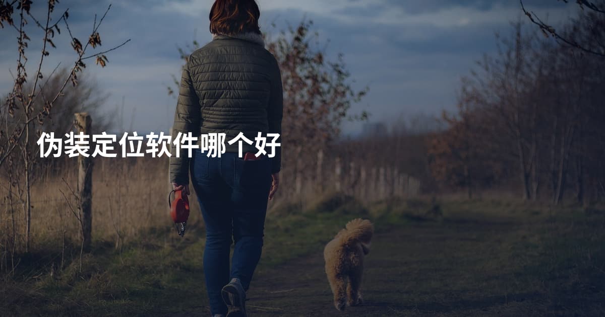 伪装定位软件哪个好