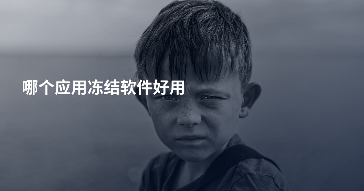 哪个应用冻结软件好用