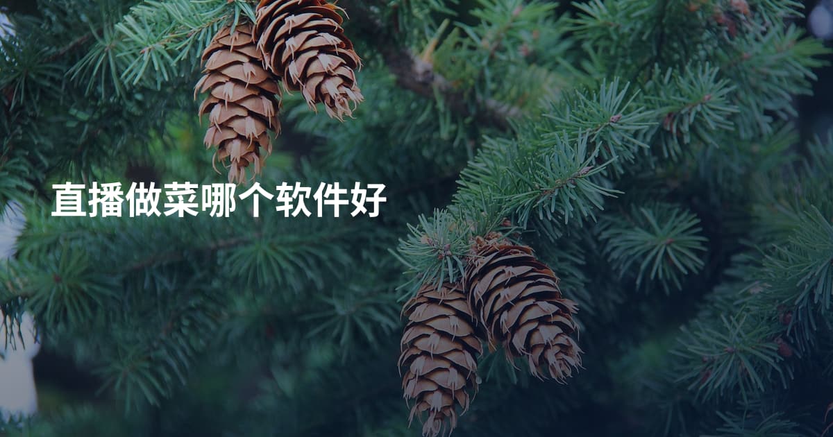 直播做菜哪个软件好
