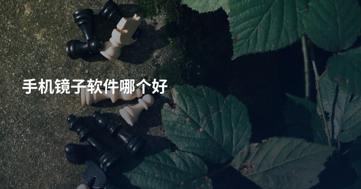 手机镜子软件哪个好