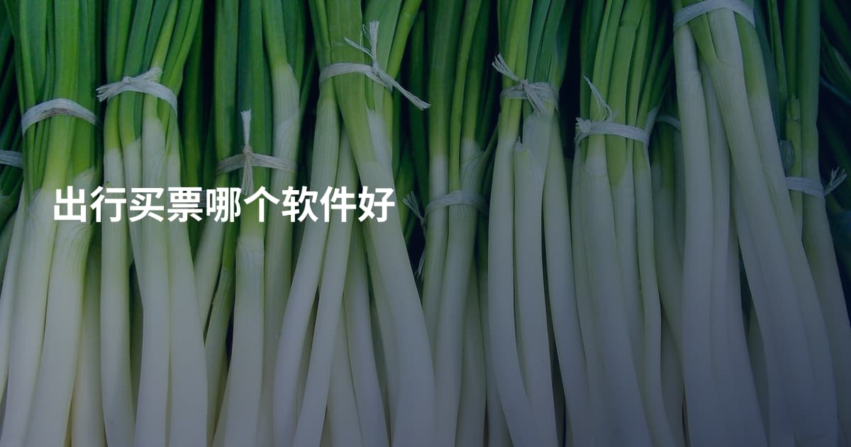 出行买票哪个软件好