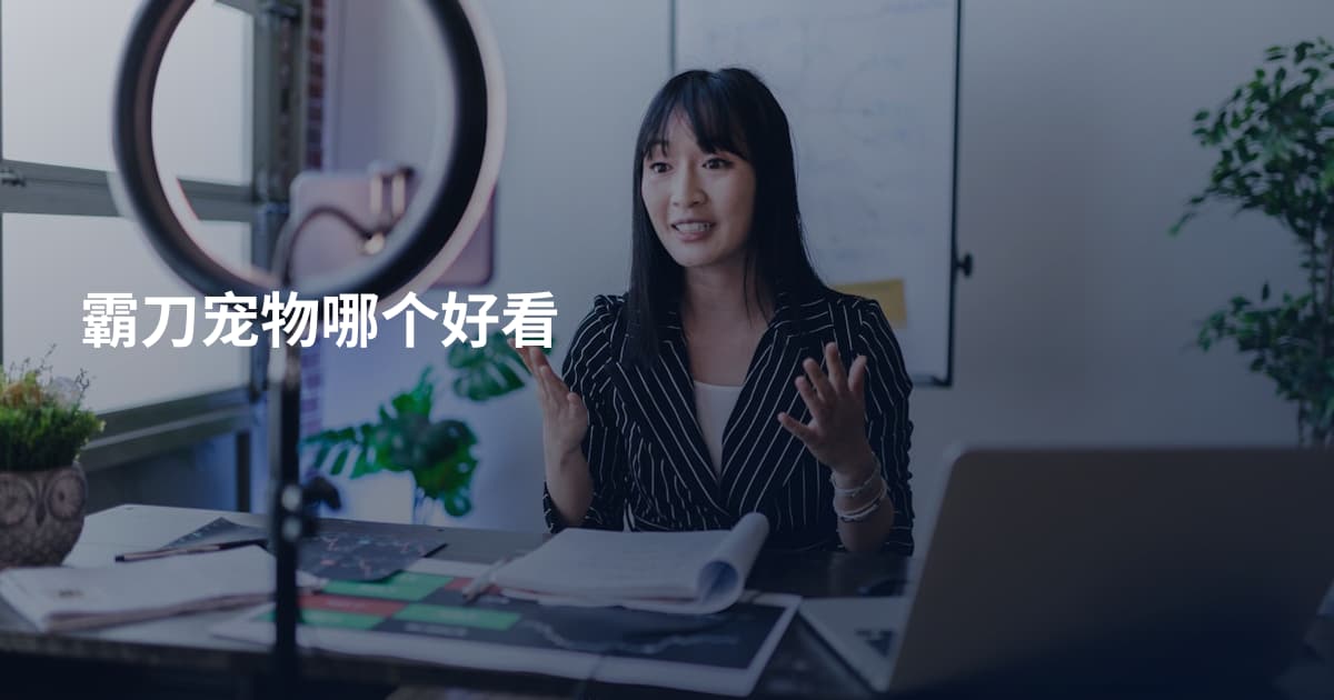 霸刀宠物哪个好看