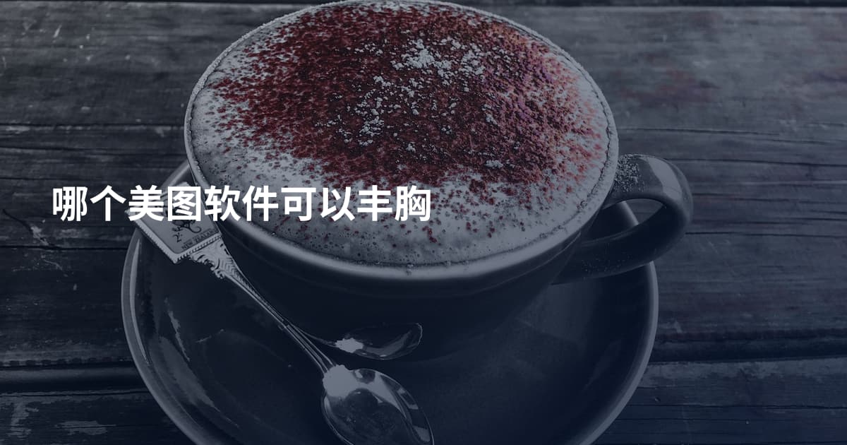 哪个美图软件可以丰胸