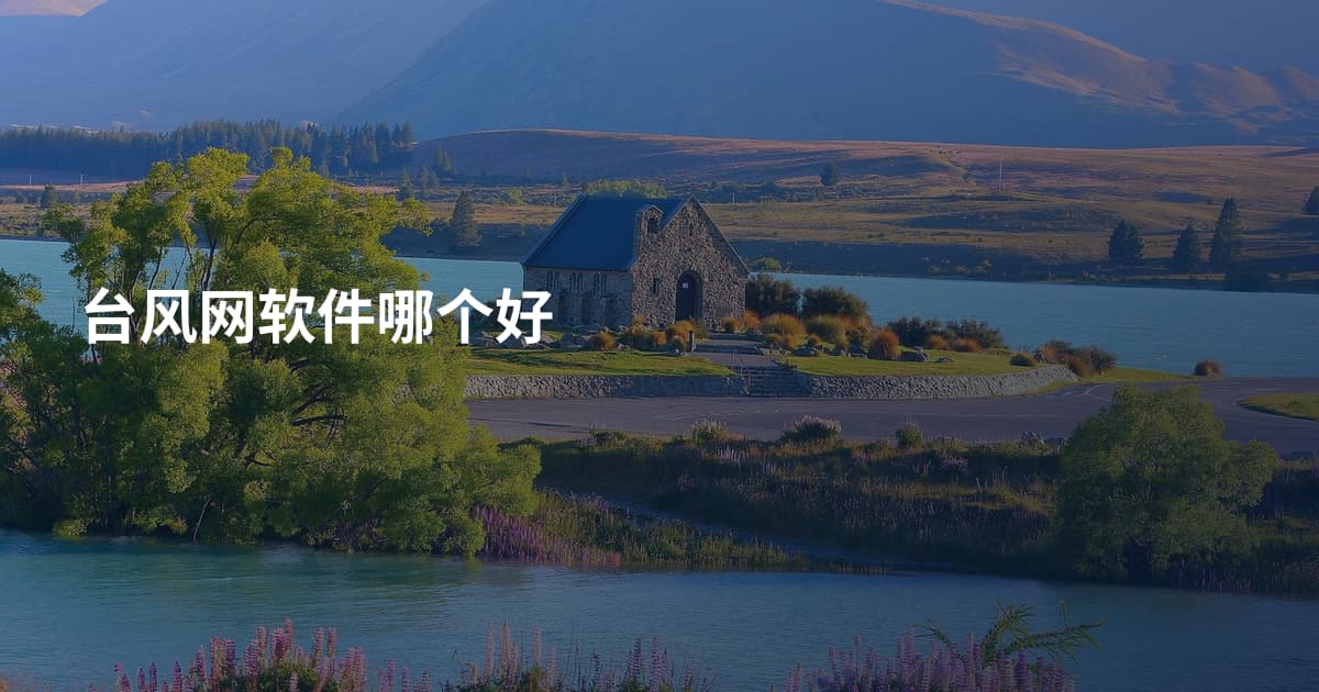 台风网软件哪个好