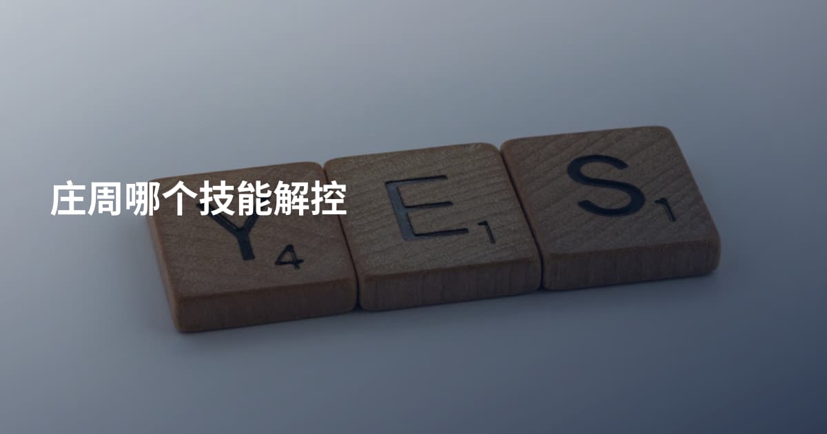 庄周哪个技能解控