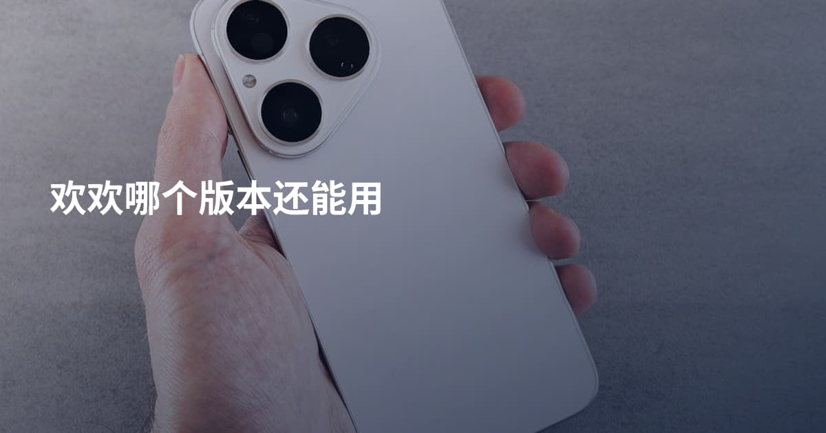 欢欢哪个版本还能用