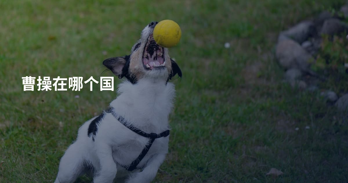曹操在哪个国