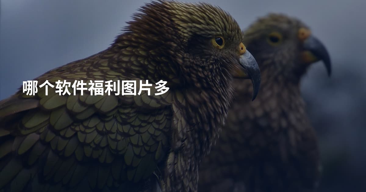 哪个软件福利图片多