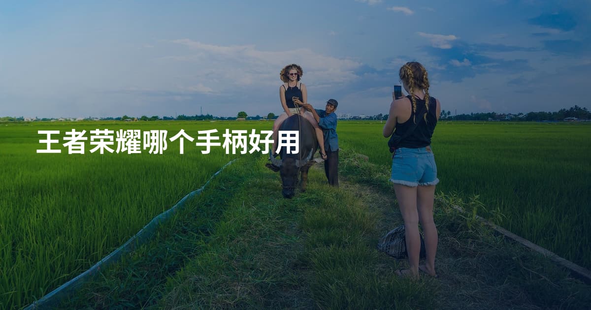 王者荣耀哪个手柄好用